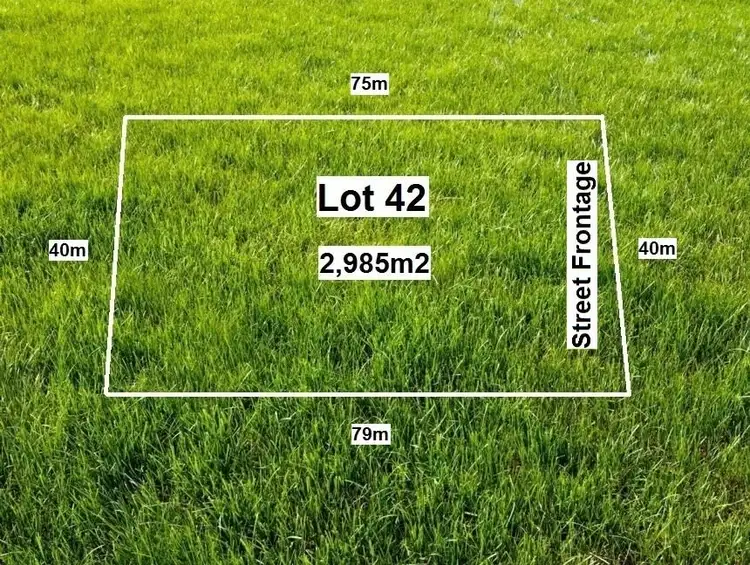 Address available on request