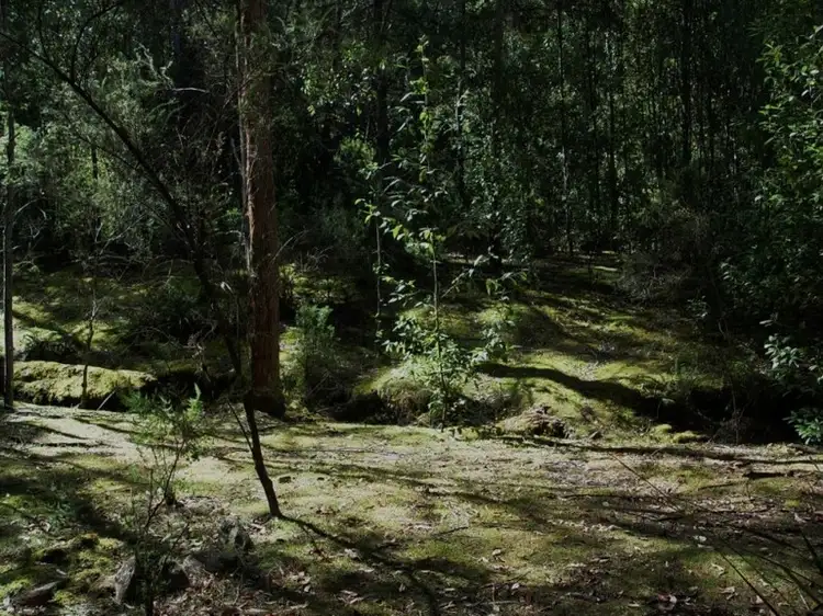 Fifth view of Homely house listing, 128 Snug Tiers Road, Snug TAS 7054