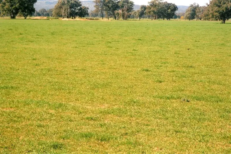 Main view of Homely rural property listing, 1281 Great Alpine Road, Tarrawingee VIC 3678