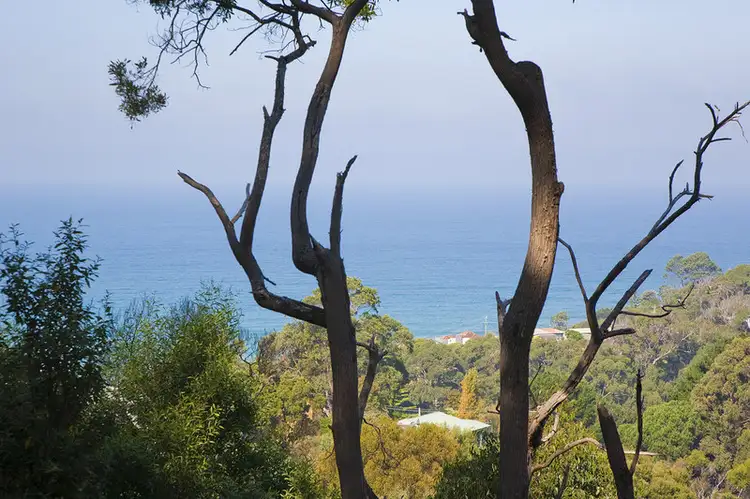 Main view of Homely land listing, 38-40 Riverside Drive, Wye River VIC 3221