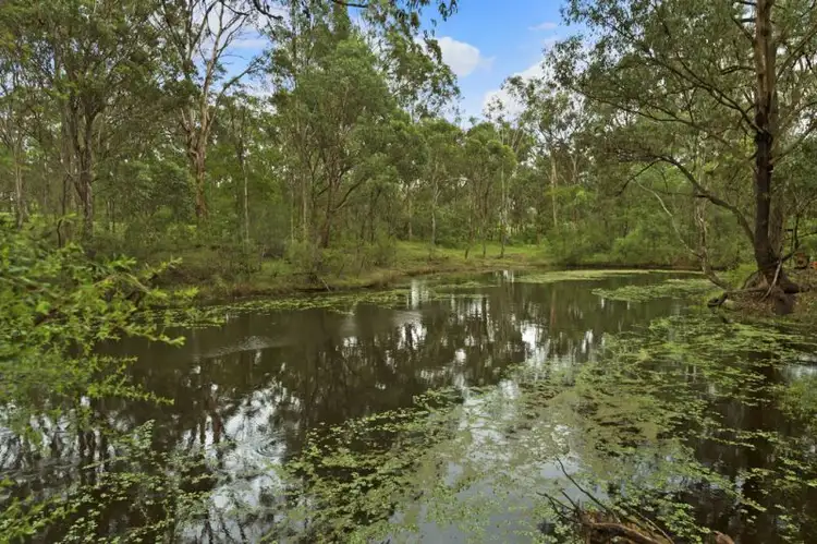Seventh view of Homely rural property listing, 42 Nelson Road, Nelson NSW 2765