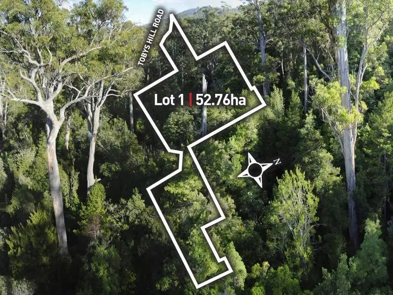 Main view of Homely land listing, Tobys Hill Road, Cygnet TAS 7112