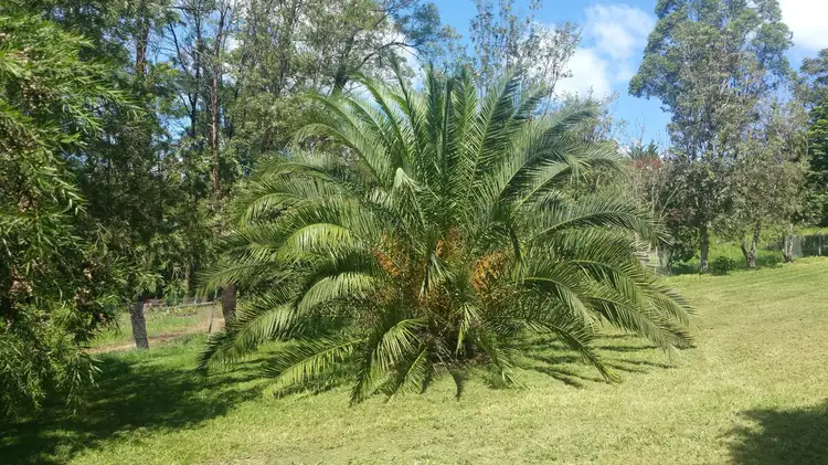 Sixth view of Homely land listing, 102a Moss Vale Rd, Kangaroo Valley NSW 2577