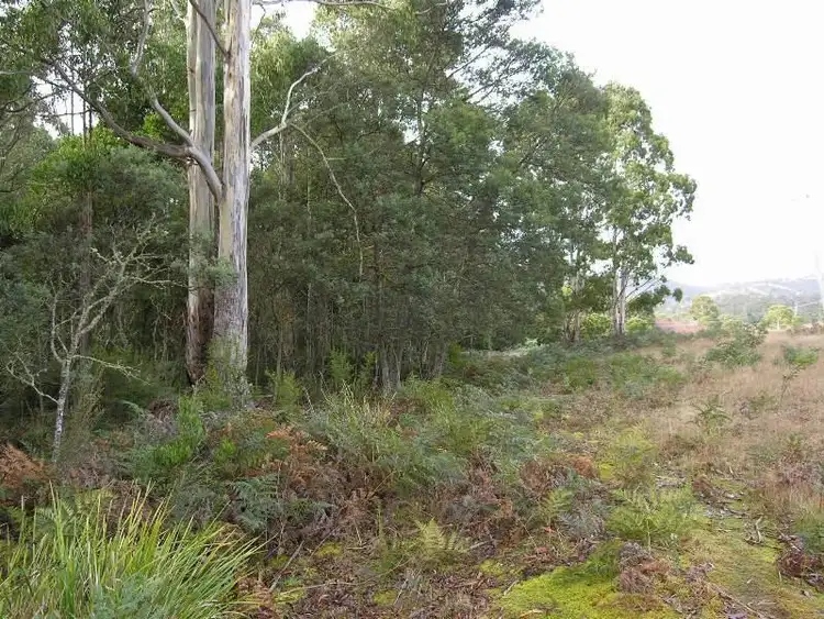 Seventh view of Homely land listing, Ellendale Road, Westerway TAS 7140