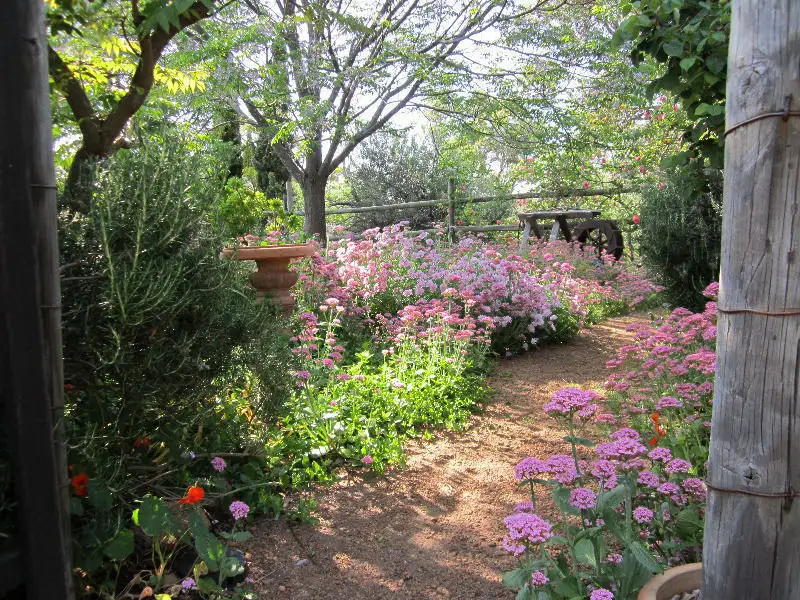 Main view of Homely rural property listing, 163 Howard Road, Julimar WA 6567