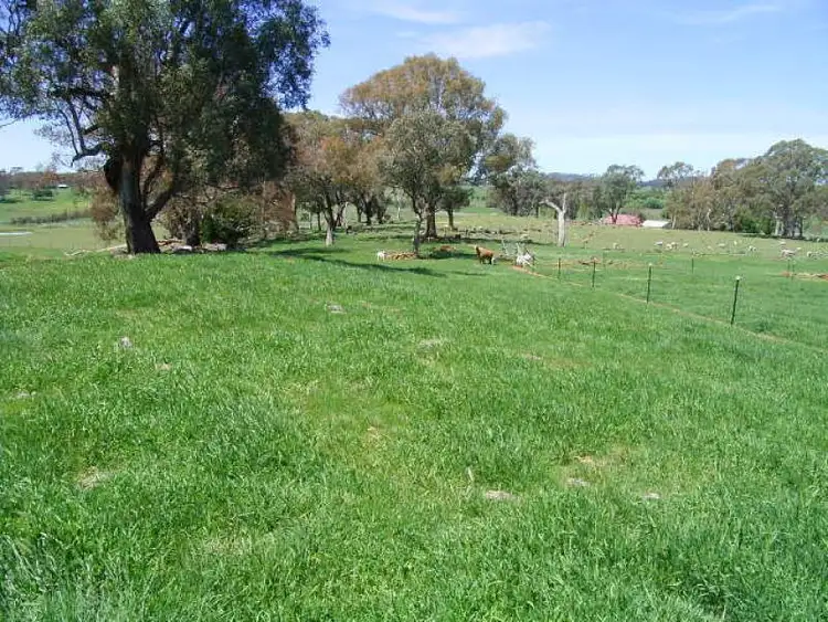Fourth view of Homely land listing, 31 Clover Ridge Lane, Millthorpe NSW 2798