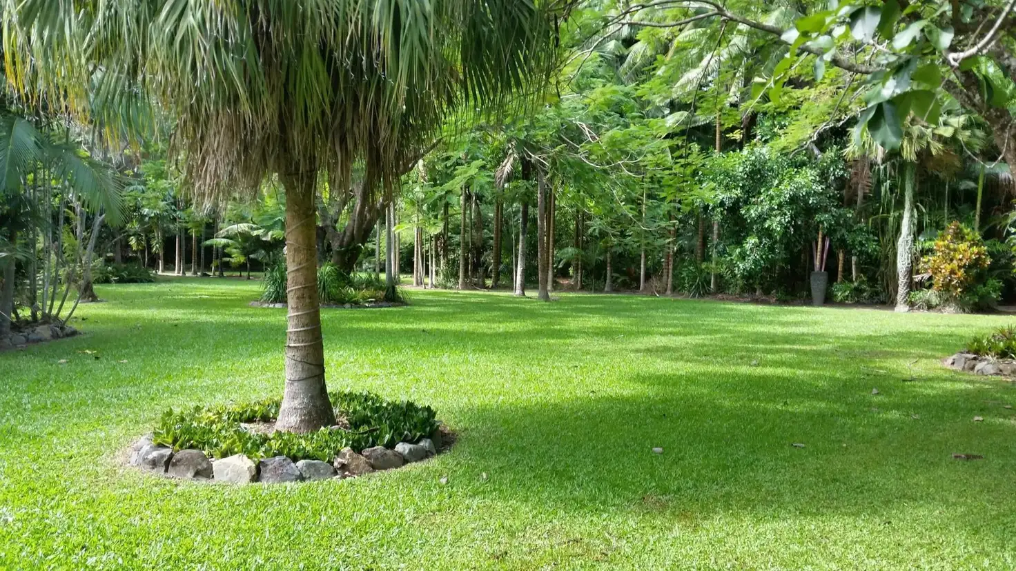 Main view of Homely land listing, 20 Wilkinson Street, Kewarra Beach QLD 4879