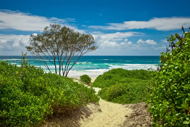 Third view of Homely house listing, 31 Scott Street, Byron Bay NSW 2481