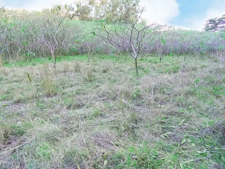 Fourth view of Homely land listing, 598 Colo Heights Road, Upper Colo NSW 2756