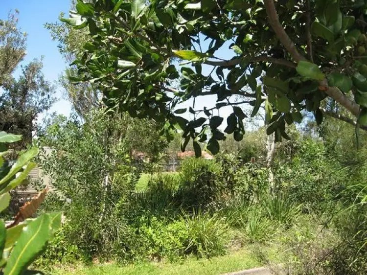 Main view of Homely land listing, 46 Bayshore Drive, Byron Bay NSW 2481