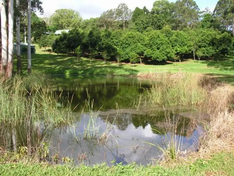 Seventh view of Homely rural property listing, 3 East Road, Dunoon NSW 2480