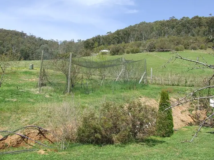 Fifth view of Homely rural property listing, 623 Buffalo River Road, Myrtleford VIC 3737
