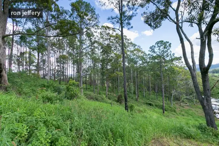 Second view of Homely land listing, 65 Callemonda Road, Brooloo QLD 4570