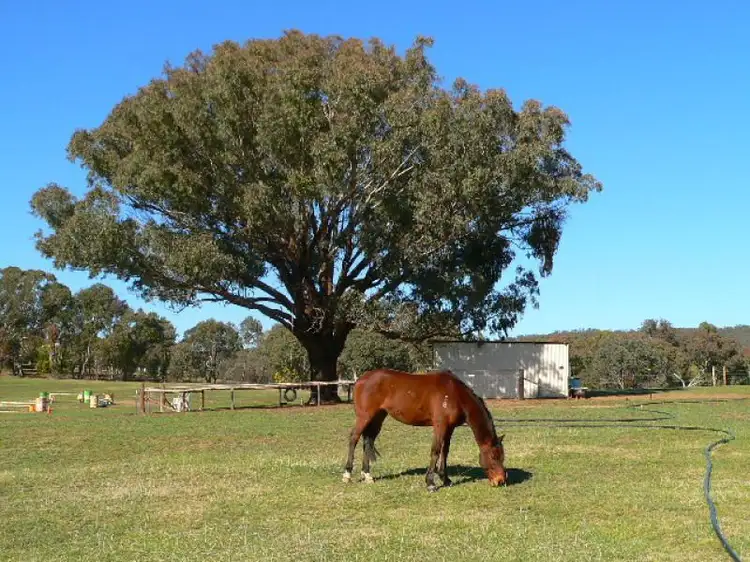 Main view of Homely rural property listing, 2412 Burrendong Way, Mullion Creek NSW 2800