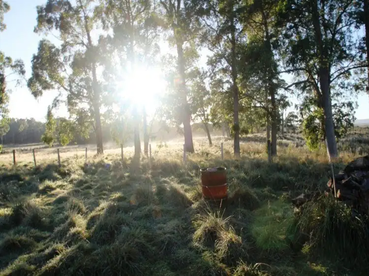 Seventh view of Homely rural property listing, 217 Dixons Road, Christmas Hills TAS 7330
