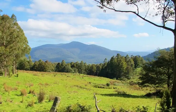 Halls Track Road, Pelverata TAS 7150
