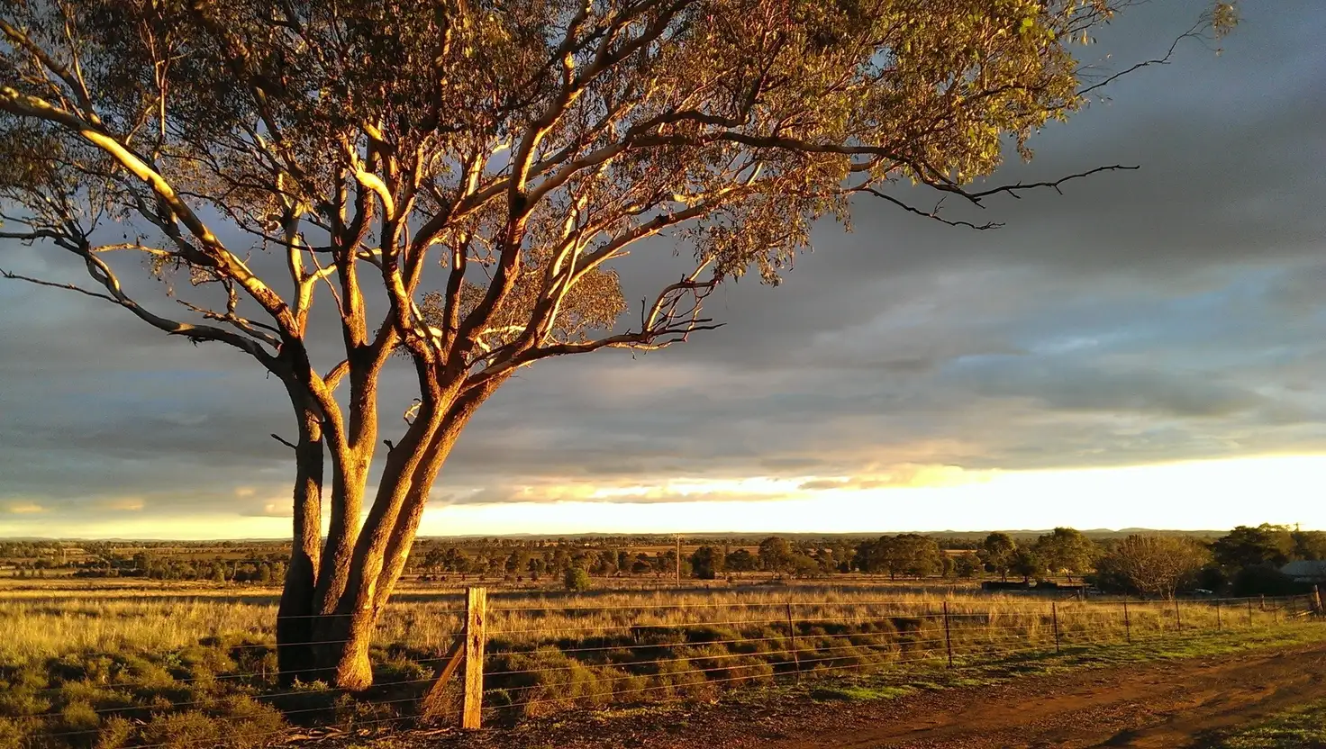 Main view of Homely land listing, Address available on request