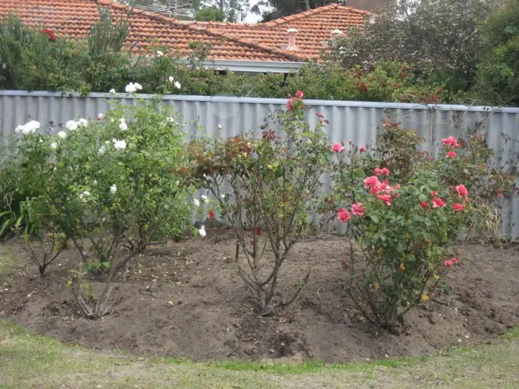 Fourth view of Homely semi-detached listing, 18 Driffield Street, Hamersley WA 6022