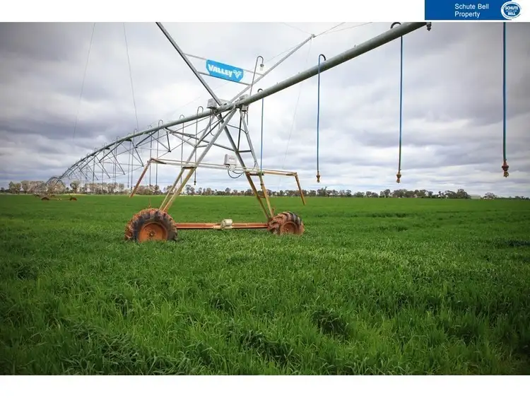- Kiewa, Narromine NSW 2821