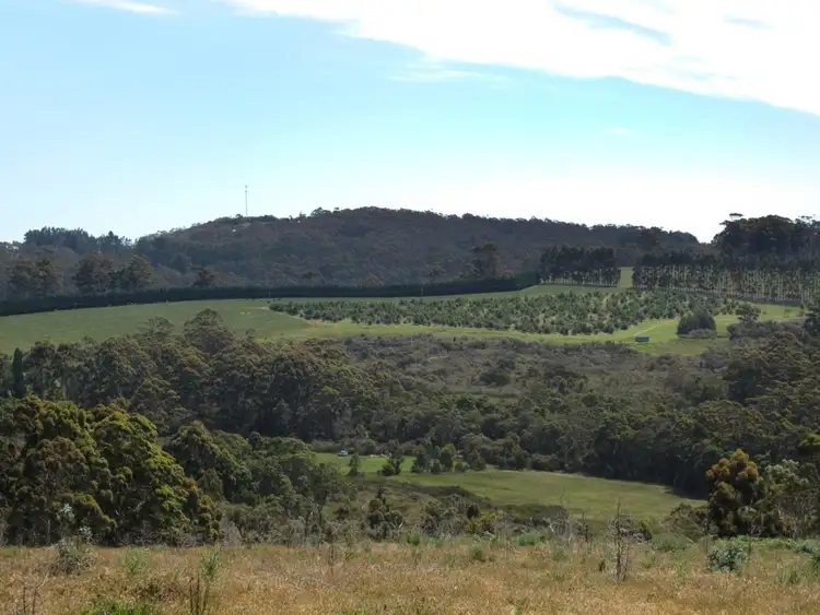 Seventh view of Homely rural property listing, 380 Redman Road, Denmark WA 6333