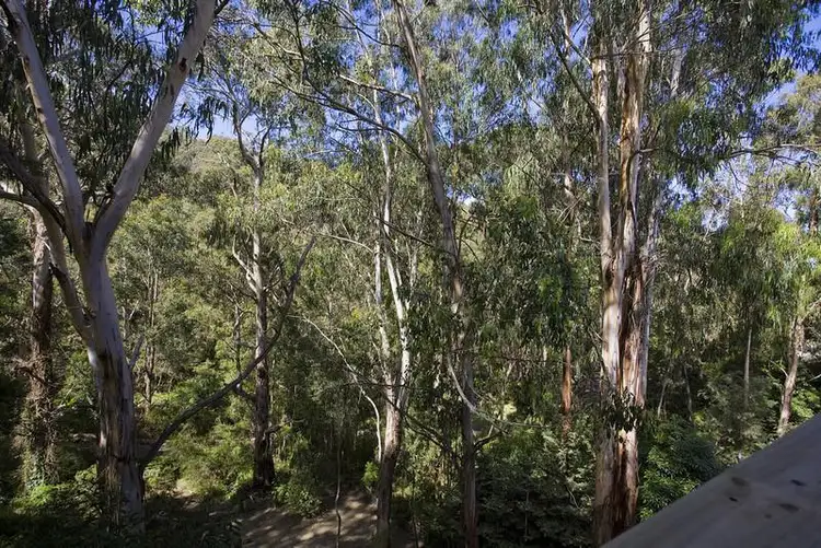 Seventh view of Homely house listing, 8 Richardson Boulevard, Lorne VIC 3232