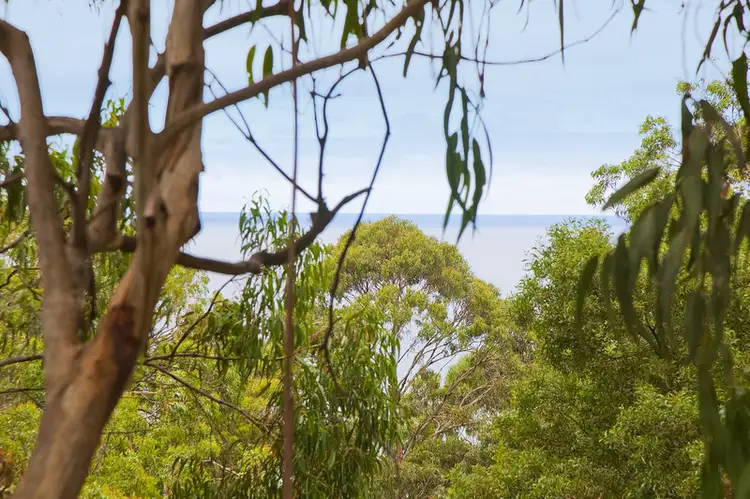 Third view of Homely house listing, 32 Ridge Drive, Kennett River VIC 3221