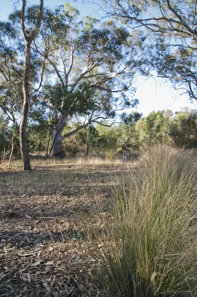 Sixth view of Homely house listing, 583 Creswick Road, Newstead VIC 3462