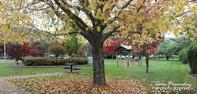 Fifth view of Homely house listing, 3 Maddison Street, Mount Beauty VIC 3699