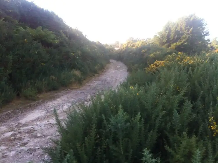 Sixth view of Homely land listing, lot 3 and 4 Counsel st, Zeehan TAS 7469