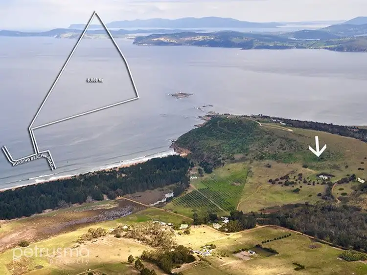 Main view of Homely house listing, 101 Roaring Beach Road, South Arm TAS 7022