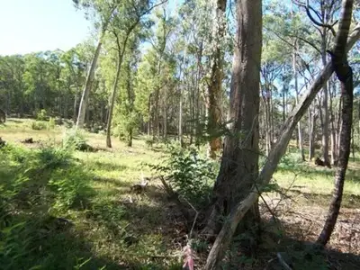 LOT Lot 3, 44 Mt Porepunkah Rd, Bright VIC 3741