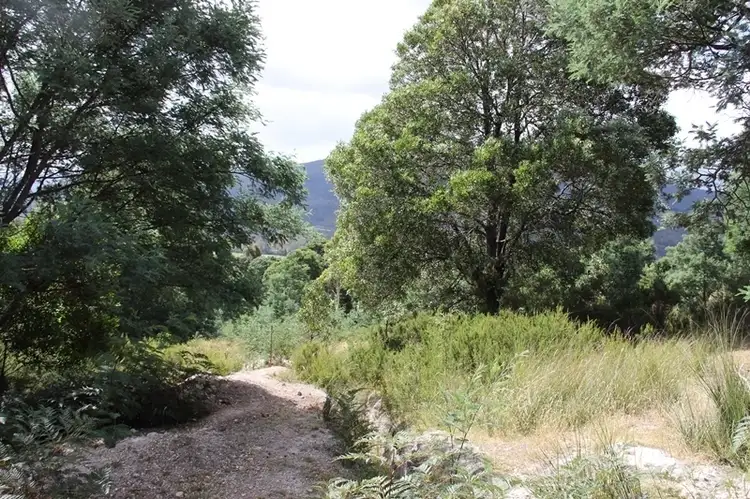 Third view of Homely land listing, 547 She Oak Road, Judbury TAS 7109