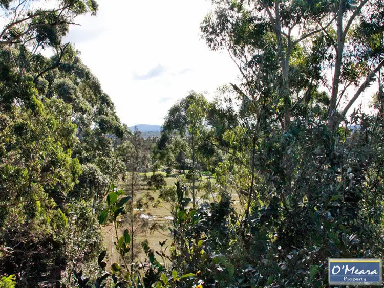 Fourth view of Homely rural property listing, 580 Marsh Road, Bobs Farm NSW 2316