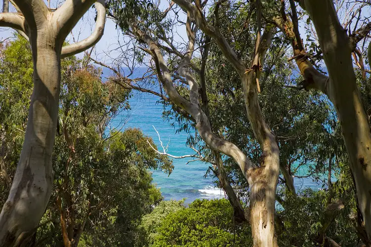 Sixth view of Homely land listing, LOT 2, 3 Great Ocean Road, Wye River VIC 3221