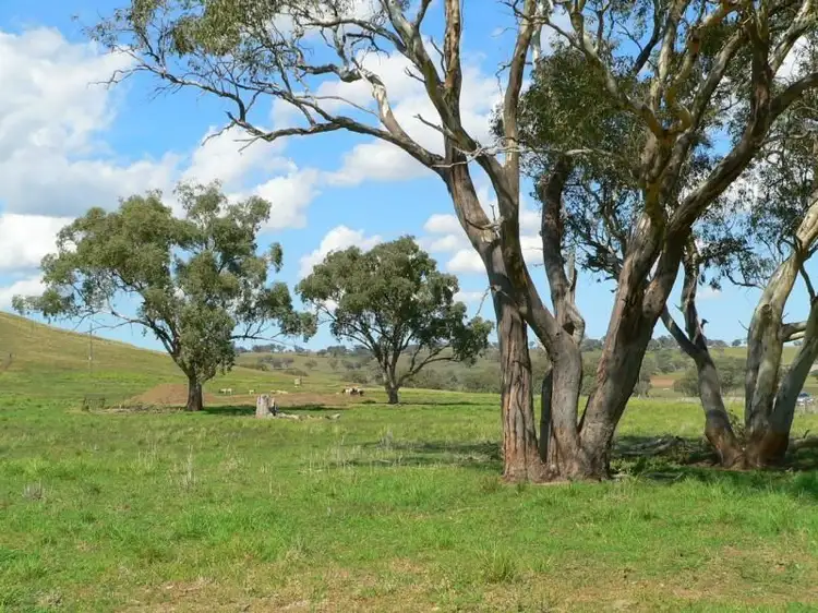 Main view of Homely rural property listing, Lot 1 Mousehole Lane, Orange NSW 2800
