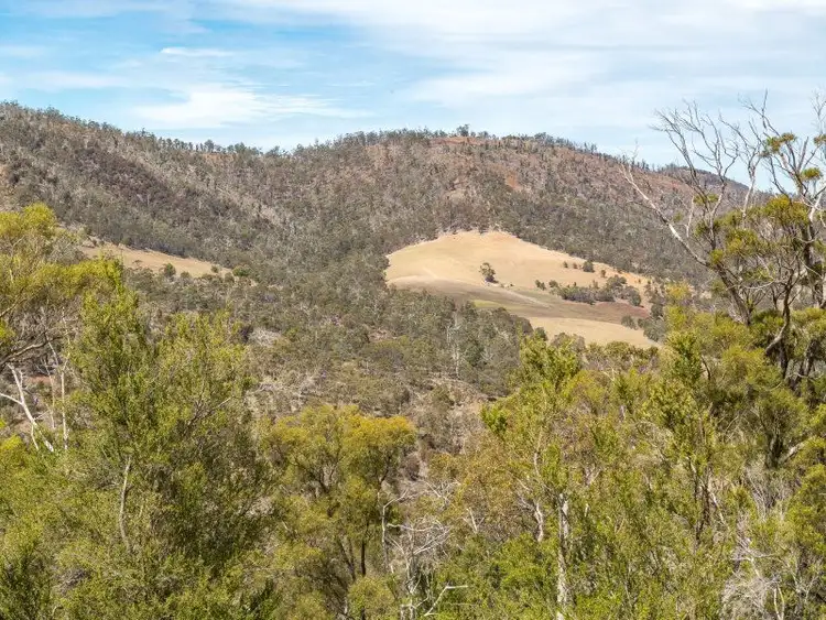 Sixth view of Homely land listing, 287 George Street, Dulcot TAS 7025