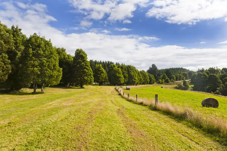 Fifth view of Homely house listing, 175 Beech Forest/Mt Sabine Road, Beech Forest VIC 3237