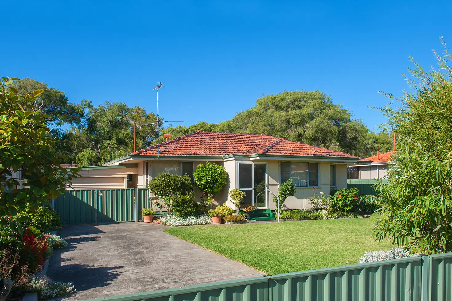 Main view of Homely house listing, 11 Willmott Street, Geographe WA 6280
