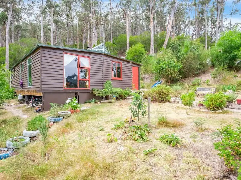 Main view of Homely rural property listing, 163 Guys Road, Cygnet TAS 7112