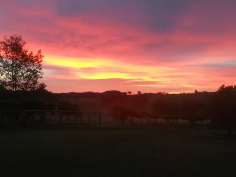 Fourth view of Homely rural property listing, 26 Scott's Lane, Gulgong NSW 2852