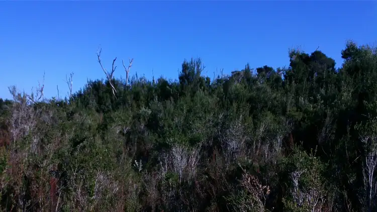 Sixth view of Homely land listing, Lot 0 Grining Street, Strahan TAS 7468