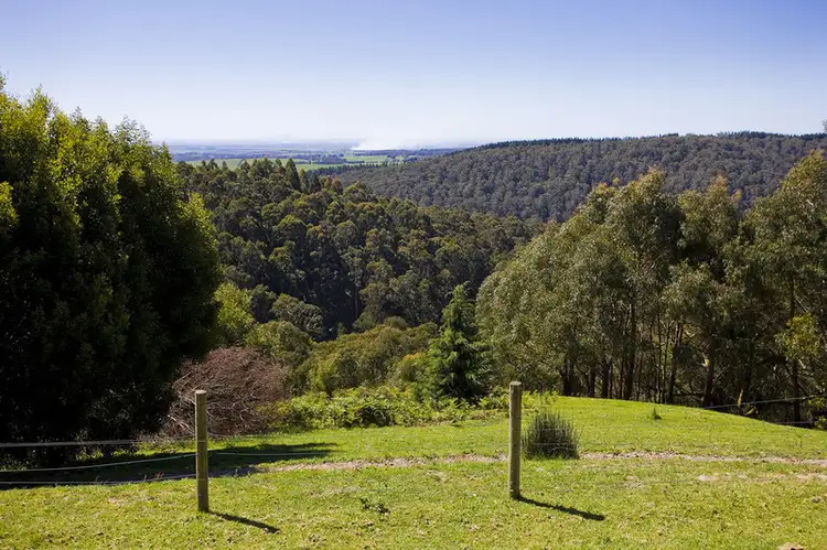 Seventh view of Homely house listing, 565 Deans Marsh - Lorne Road, Deans Marsh VIC 3235