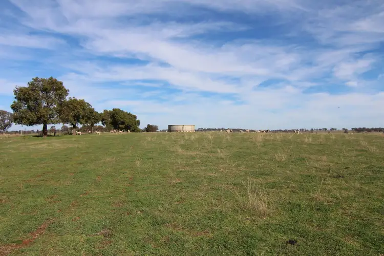 Sixth view of Homely rural property listing, 387 Strathmore Lane, Molong NSW 2866