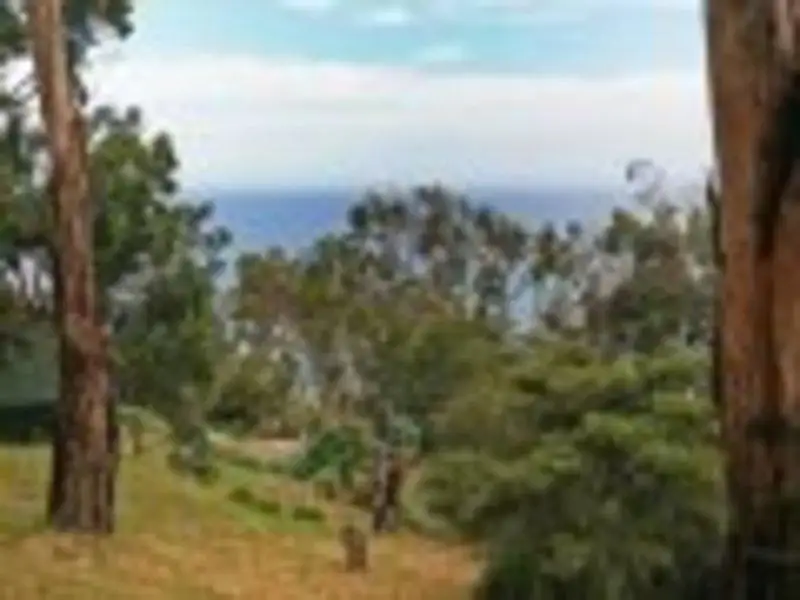 Main view of Homely land listing, 44 Morley Avenue, Wye River VIC 3221