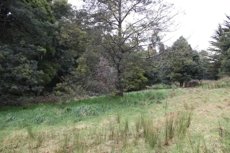 Fifth view of Homely land listing, Lot 5 Cairns Road, Surges Bay TAS 7116