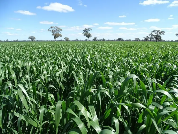 Second view of Homely rural property listing, Address available on request