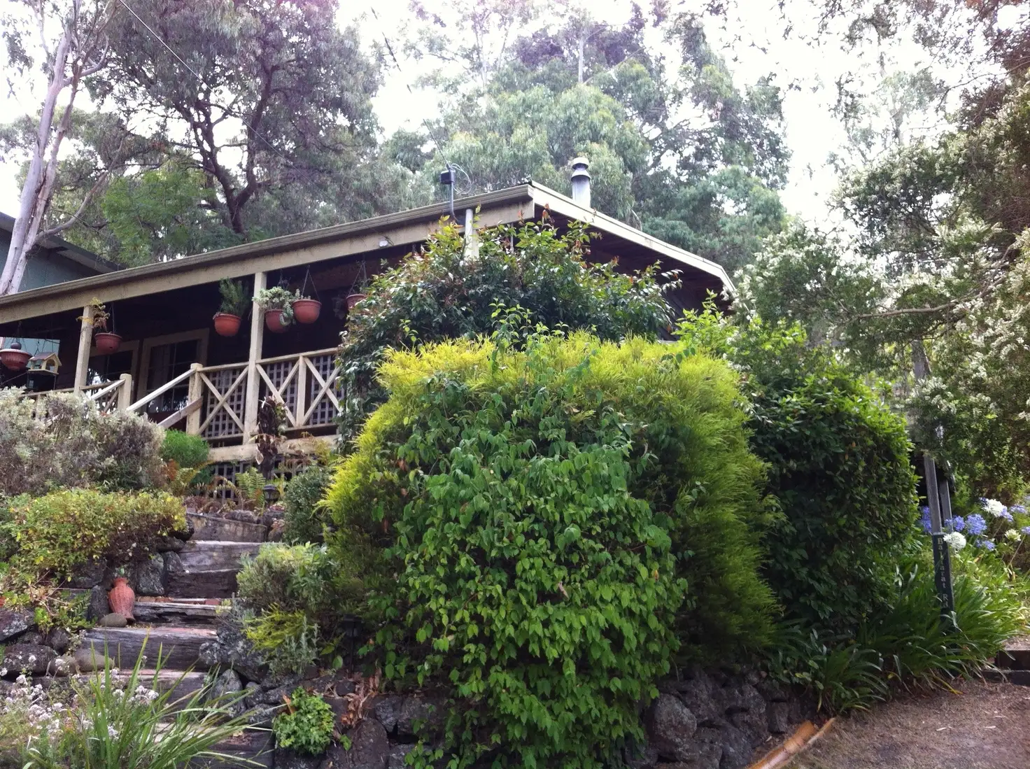 Main view of Homely house listing, 19 Belvedere Terrace, Lorne VIC 3232