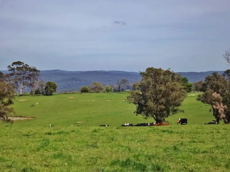 Third view of Homely rural property listing, 30 Paynters Road, Hill End VIC 3825