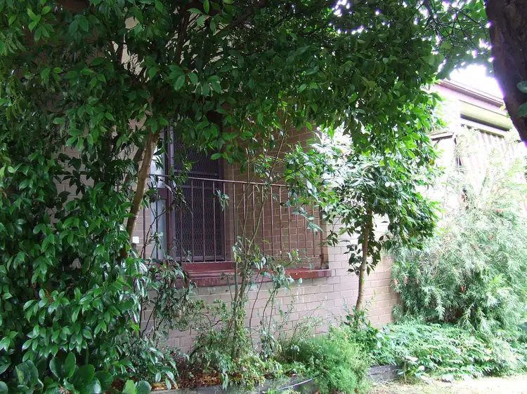 Second view of Homely house listing, 4 Hillside Court, Myrtleford VIC 3737