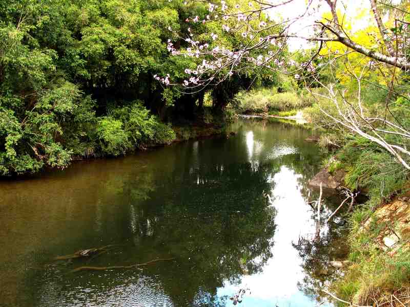 Main view of Homely land listing, Address available on request